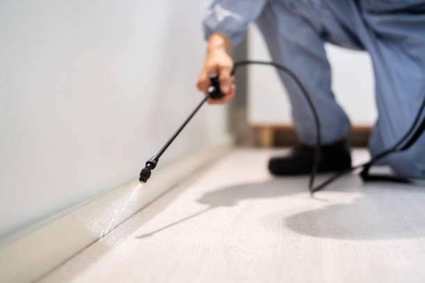 Licensed Termite Control service in Newfield, NJ - Show Me Pest Control