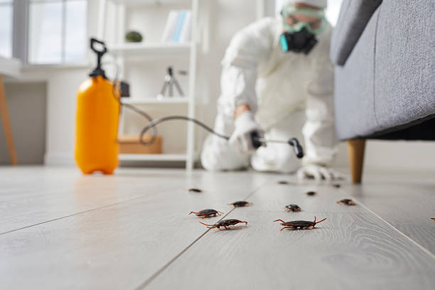 Commercial Rodent Management in Newfield